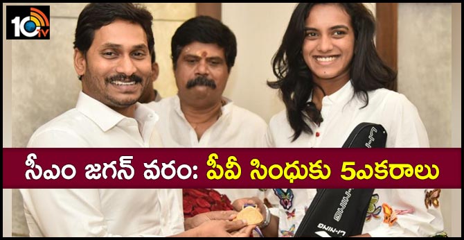 Andhra CM Assures 5 Acres Land to PV Sindhu for Girls Badminton Academy in Visakhapatnam