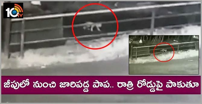 జీపులో నుంచి జారిపడ్డ పాప.. రాత్రి రోడ్డుపై పాకుతూ జీపులో నుంచి జారిపడ్డ పాప.. రాత్రి రోడ్డుపై పాకుతూ