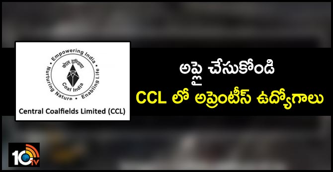 CCL Recruitment 2019: 750 Apprentice Posts.