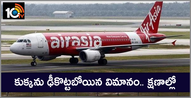 Dog enters Goa airport runway causing AirAsia India flight to abort take-off