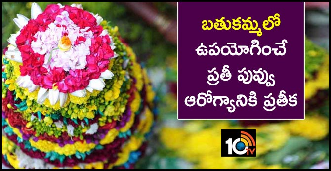బతుకమ్మలో ఉపయోగించే ప్రతీ పువ్వు ఆరోగ్యానికి ప్రతీక బతుకమ్మలో ఉపయోగించే ప్రతీ పువ్వు ఆరోగ్యానికి ప్రతీక
