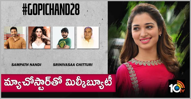 Gorgeous Tamannaah will be Pairing with Gopichand