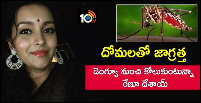 దోమలతో జాగ్రత్త : డెంగ్యూ నుంచి కోలుకుంటున్నా – రేణూ దేశాయ్ దోమలతో జాగ్రత్త : డెంగ్యూ నుంచి కోలుకుంటున్నా – రేణూ దేశాయ్