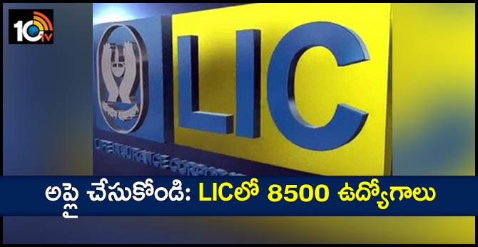 LIC Assistant Notification 2019 Released 8500 Vacancies Across India