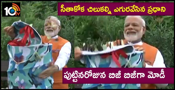 సీతాకోక చిలుకల్ని ఎగురవేసిన ప్రధాని : పుట్టినరోజున బిజీ బిజీగా మోడీ సీతాకోక చిలుకల్ని ఎగురవేసిన ప్రధాని : పుట్టినరోజున బిజీ బిజీగా మోడీ