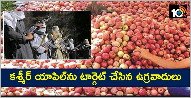 కశ్మీర్ యాపిల్ను టార్గెట్ చేసిన ఉగ్రవాదులు కశ్మీర్ యాపిల్ను టార్గెట్ చేసిన ఉగ్రవాదులు