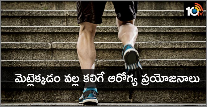 The Health Benefits of Stair Climbing Exercise