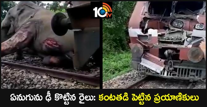 ఏనుగును ఢీ కొట్టిన రైలు: కంటతడి పెట్టిన ప్రయాణికులు ఏనుగును ఢీ కొట్టిన రైలు: కంటతడి పెట్టిన ప్రయాణికులు