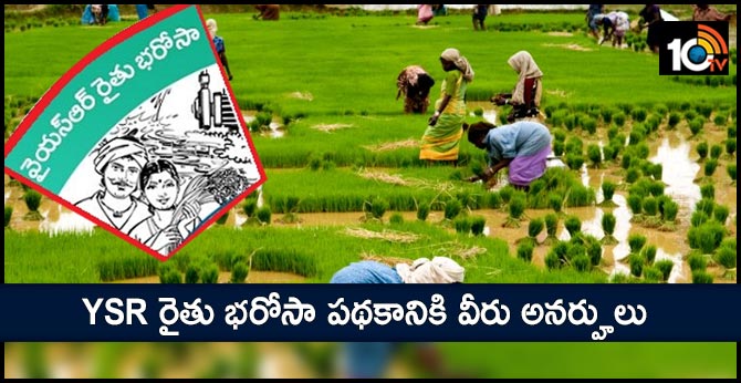 YSR రైతు భరోసా పథకానికి వీరు అనర్హులు YSR రైతు భరోసా పథకానికి వీరు అనర్హులు