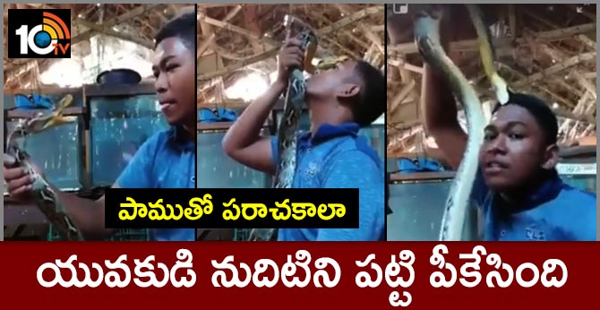 Young Man Gets Bitten By Snake While Playing With It On Camera
