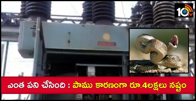 ఎంత పని చేసింది : పాము కారణంగా రూ.4లక్షలు నష్టం ఎంత పని చేసింది : పాము కారణంగా రూ.4లక్షలు నష్టం