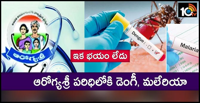 dengue malaria under arogya sri