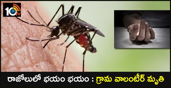 grama volunteer dies of dengue
