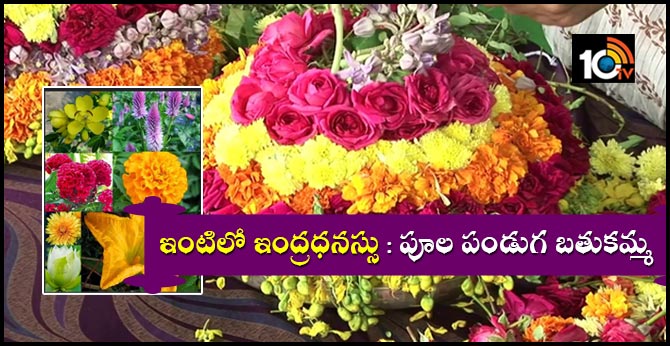 rainbow at home the flower festival Batukamma