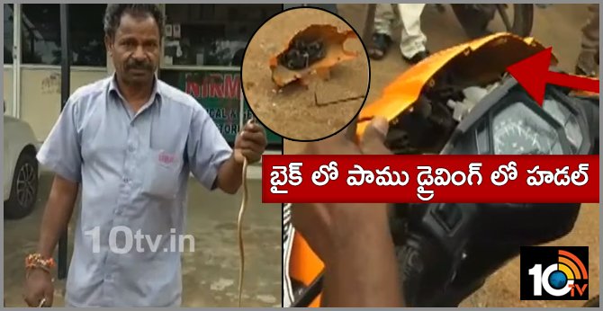 snake in bike, hyderabadi felt feared