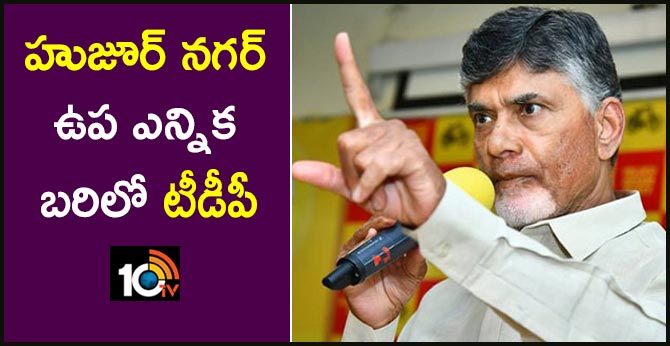 tdp contest in huzurnagar bypoll