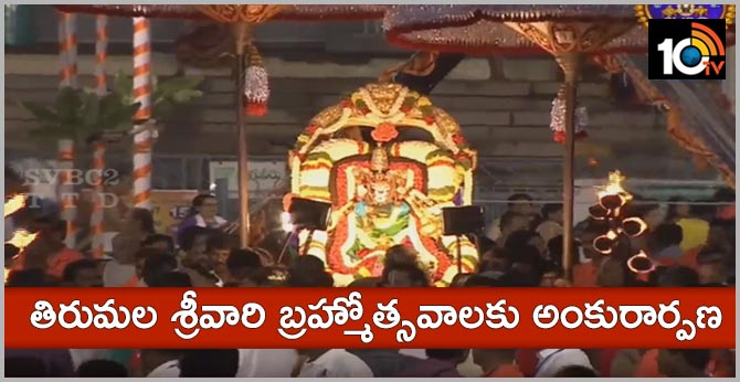 తిరుమల శ్రీవారి బ్రహ్మోత్సవాలకు అంకురార్పణ తిరుమల శ్రీవారి బ్రహ్మోత్సవాలకు అంకురార్పణ