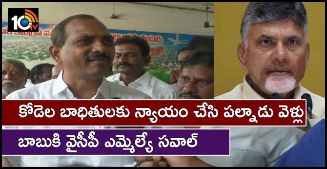 ycp  mla comments on chandrababu naidu