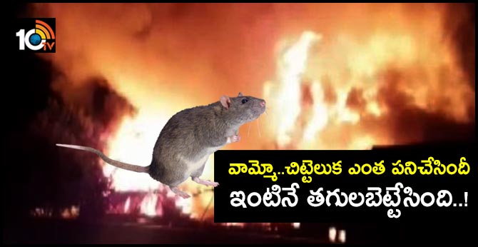 A house burned down due to a mouse On Diwali night in Bareli city of Uttar Pradesh