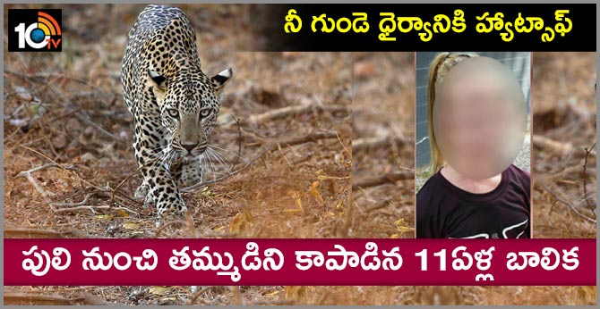 Girl, 11, Lay On 4-Year-Old Brother To Save Him As Leopard Attacked Them