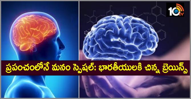 IIIT Hyderabad Creates First Ever Indian Brain Atlas, To Help Early Disease Diagnosis