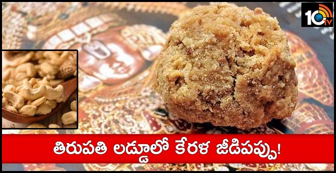 Kerala cashew nuts in Tirupati Laddu