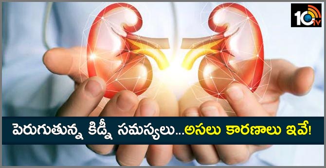 Kidney Problem Symptoms And Causes