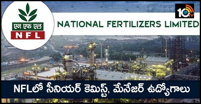 NFL Recruitment 2019: Apply for Senior Chemist And Manager Posts