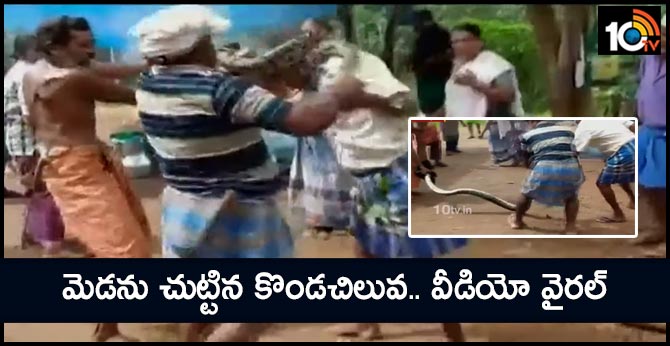 Viral Video: Python Coils Around Man’s Neck, Labourers Save Him In Nick Of Time