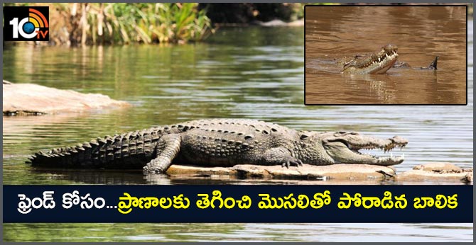ఫ్రెండ్ కోసం…ప్రాణాలకు తెగించి మొసలితో పోరాడిన బాలిక ఫ్రెండ్ కోసం…ప్రాణాలకు తెగించి మొసలితో పోరాడిన బాలిక