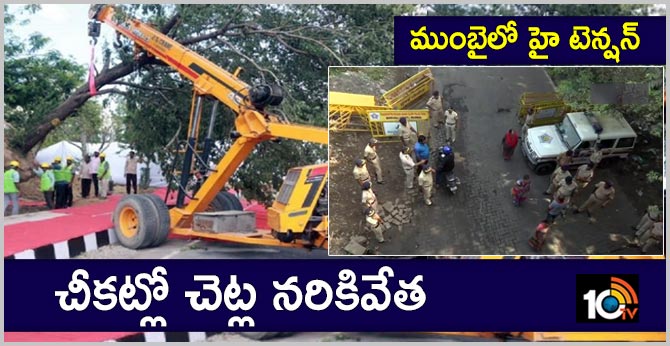 చీకట్లో చెట్ల నరికివేత : ముంబైలో హై టెన్షన్ చీకట్లో చెట్ల నరికివేత : ముంబైలో హై టెన్షన్