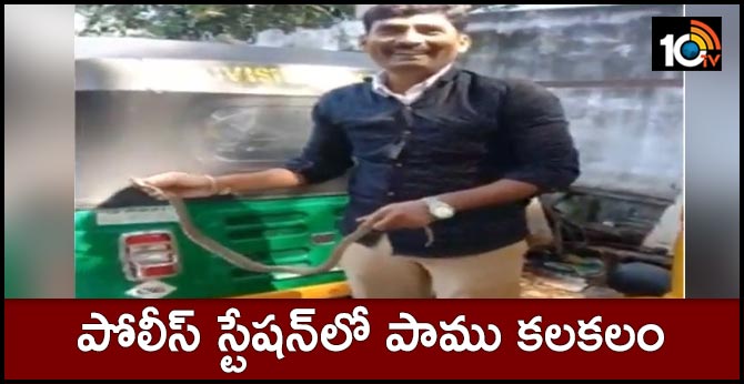 పోలీస్ స్టేషన్లో పాము కలకలం పోలీస్ స్టేషన్లో పాము కలకలం
