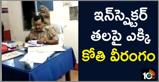 UP Cop Gets Surprise 'Grooming' Session From Monkey