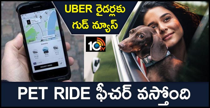 Uber Could Soon Allow Pets To Travel With You, As It Starts Testing Uber Pet Ride Option