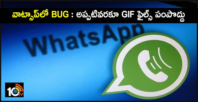 WhatsApp alert: Don't send GIFs until you update app to avoid security risk