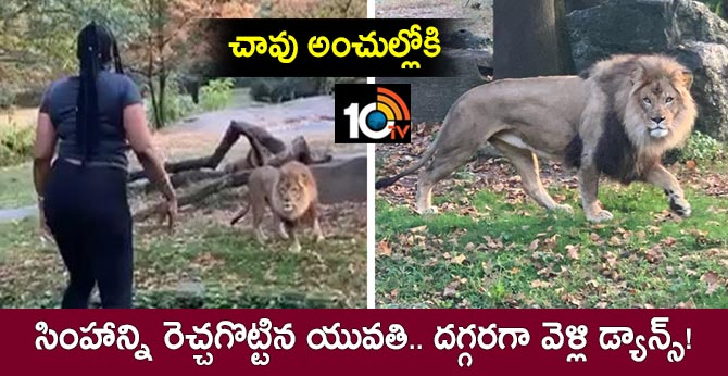 Woman climbs into zoo enclosure and taunts lion, video goes viral