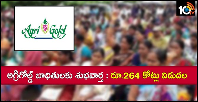 ap govt released Rs 264.99 crore to agrigold victims