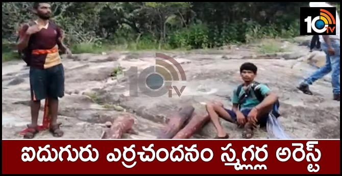 five red sandalwood smugglers Arrest