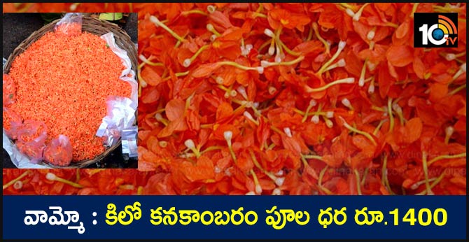 వామ్మో : కిలో కనకాంబరం పూల ధర రూ.1400 వామ్మో : కిలో కనకాంబరం పూల ధర రూ.1400