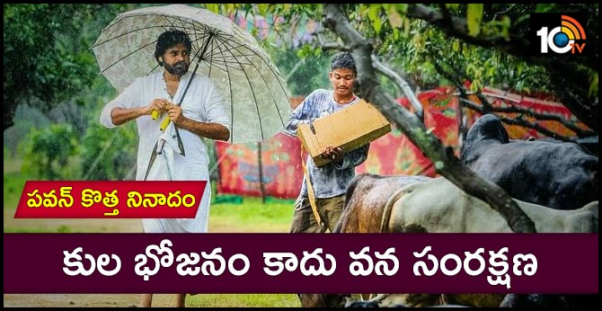 కుల భోజనం కాదు వన సంరక్షణ : పవన్ కొత్త నినాదం కుల భోజనం కాదు వన సంరక్షణ : పవన్ కొత్త నినాదం