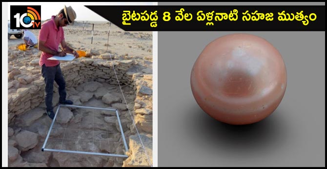 worlds oldest known natura  pearl discovered on abu dhabi