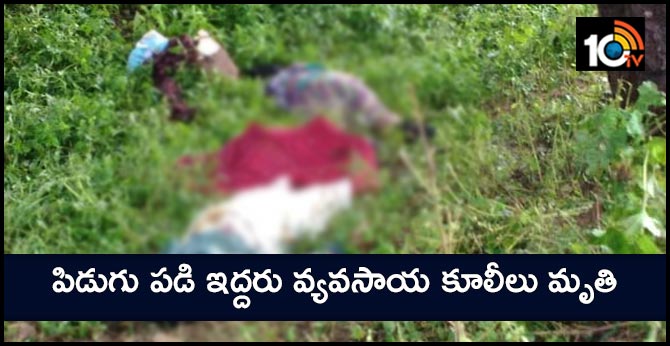 two farm laborers died by thunderstorms in adilabad district