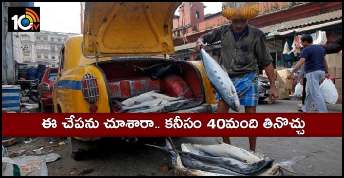 Bengal Man Goes for Fishing in Ganges.. Return With 18.5kg Fish Caught From The Ganges