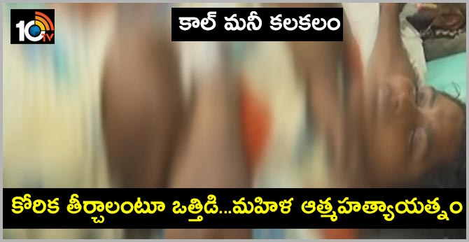 Call Money Harassment, The woman committed suicide