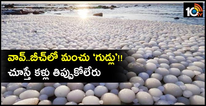 వావ్..బీచ్లో మంచు ‘గుడ్లు’!! : చూస్తే కళ్లు తిప్పుకోలేరు వావ్..బీచ్లో మంచు ‘గుడ్లు’!! : చూస్తే కళ్లు తిప్పుకోలేరు