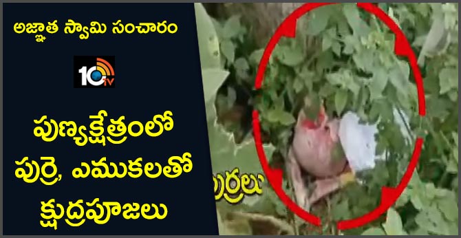 Kurnool Veeranna Temple is an occult worship
