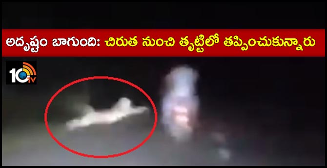 Leopard pounces on bikers, misses by inches. Heart-stopping video captured