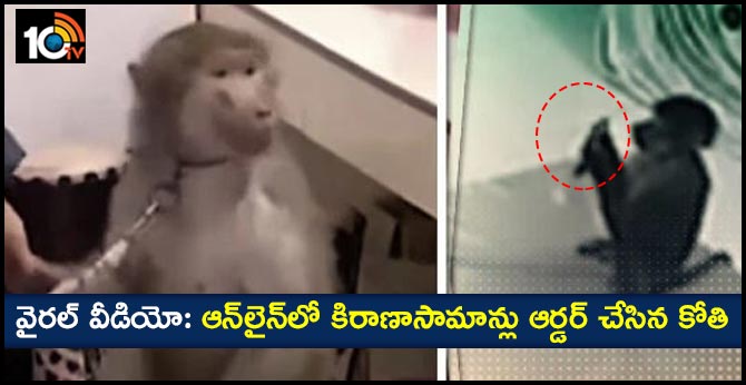 Monkey Uses Mobile Phone to Order Groceries Online in China