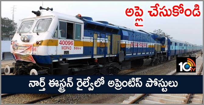 అప్లై చేసుకోండి: నార్త్ ఈస్ట్రన్ రైల్వేలో అప్రెంటిస్ పోస్టులు అప్లై చేసుకోండి: నార్త్ ఈస్ట్రన్ రైల్వేలో అప్రెంటిస్ పోస్టులు