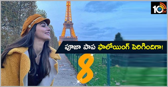 పూజా పాప ఫాలోయింగ్ పెరిగిందిగా! పూజా పాప ఫాలోయింగ్ పెరిగిందిగా!